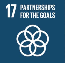 SDG 17: Partnerships
