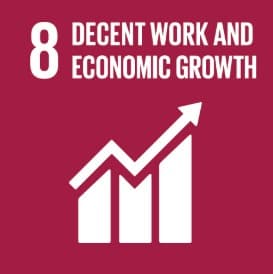 SDG 8: Decent Work